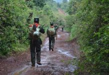 သိုၵ်းမၢၼ်ႈ ၶိုၼ်ႈလေႃႇယိုဝ်းတပ်ႉပၢင်သဝ်း SSPP ၼႂ်းၸႄႈဝဵင်းၵူတ်ႉၶၢႆ