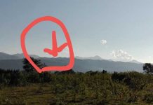 သိုၵ်းမၢၼ်ႈ တင်း သိုၵ်းတဢၢင်း ပဵၼ်ပၢင်တိုၵ်းၵၼ် ၼႂ်းဢိူင်ႇမိူင်းယေႃ ၸႄႈတွၼ်ႈလႃႈသဵဝ်ႈ