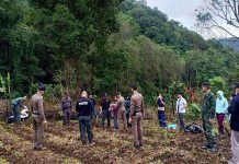 ႁႅင်းၵၢၼ်ယၢၼ်မိူင်း ဢၼ်ၺႃးပေႃႈလဵင်ႉၶႃႈတၢႆၼၼ်ႉ မေးၼၢင်းမၼ်း တေပွၵ်ႈမိူဝ်းယူႇၶိုၼ်းမိူင်းတႆး