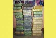 တီႉလႆႈယႃႈမဝ်းၵမ် ၼႂ်းၸႄႈဝဵင်းမိူင်းတူၼ် ၶၼ်ငိုၼ်း 300 သႅၼ်ပျႃးပၢႆ