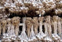 ၸဝ်ႈသူၼ်ၽၵ်းမီႇႁေႃ မိူင်းပၼ်ႇ – မိူင်းတူၼ် ႁူပ်ႉတၢင်းယၢပ်ႇ ယွၼ်ႉၶၼ်မီႇႁေႃတူၵ်း