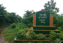 ပၢႆႉၼမ်ႉတူႈ