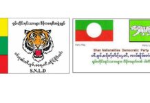 ပၢင်လိူၵ်ႈတင်ႈ 2020 ၼႆႉ ပႃႇတီႇတႆး မီးသွင်ဢၼ်လႄႈ ၵူၼ်းမိူင်းတိုၵ်ႉၵႂင်ၸွမ်းၼႂ်းၵႄႈ