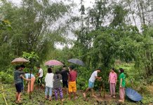 ၵူၼ်းၼုမ်ႇတႆး ၸႄႈမိူင်းၶၢင် ႁူမ်ႈၵၼ် ၽုၵ်ႇတူၼ်ႈမႆႉ 50 တူၼ်ႈပၢႆ