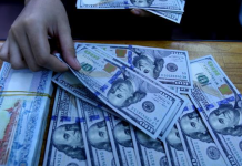 ငိုၼ်းမၢၼ်ႈ - ငိုၼ်းတေႃႊလႃႊ