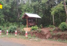 ၵူၼ်းလၢႆးၶႃႈ ဢၼ်ပၢႆႈၽေးသိုၵ်းႁွတ်ႈထိုင်ပၢင်လူင် ဢွၼ်ၵၼ်ပွၵ်ႈၶိုၼ်းႁိူၼ်းၼႂ်းၵႄႈလွင်ႈမႆႈၸႂ်