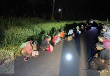 ၶိုင်ႈလိူၼ်မေႊၼႆႉၵူၺ်း ထႆးတီႉလႆႈၵူၼ်းမိူင်းႁူမ်ႈတုမ် 1500 ၵေႃႉ