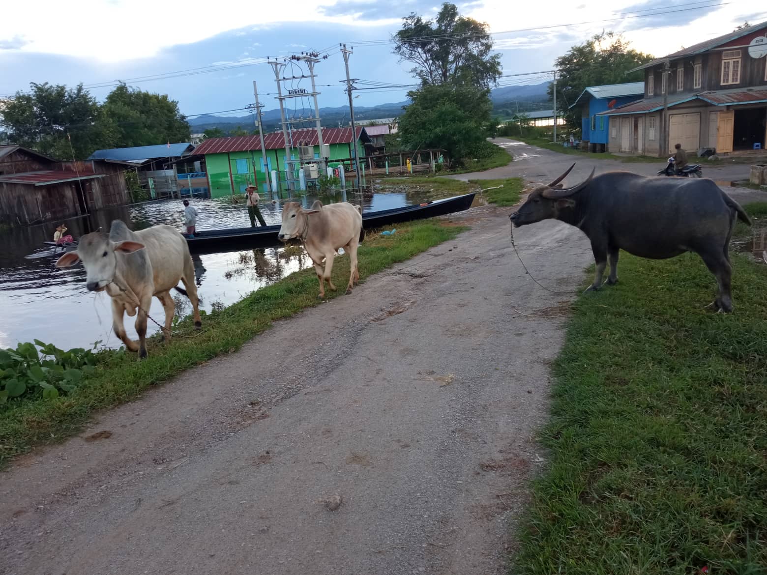ၽူႈလၵ်ႉၵူၼ်းၸူၼ်လိူင်ႇတီႈဝဵင်းၵျွၵ်ႉမႄး ဝူဝ်းၵႂၢႆးၵေႃႈလၵ်ႉ - SHAN News