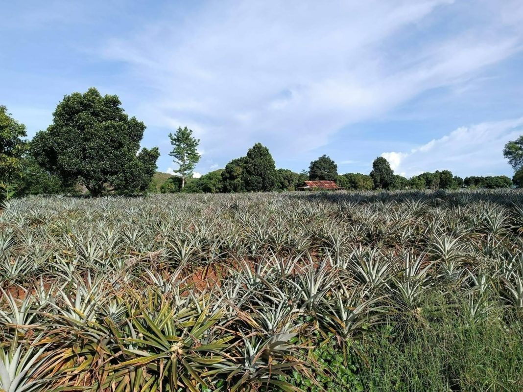 signal-2022-09-16-162655_005