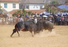 ပွႆးၵႂၢႆးတေႃး တီႈမိူင်းယၢင်း ပီၼႆႉ တေၸတ်းယႂ်ႇထႅင်ႈ ပွႆးၵႂၢႆးတေႃး မိူင်းယၢင်း