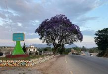 ပၢႆႉၶဝ်ႈဢွၵ်ႇဝဵင်းၵူတ်ႉၶၢႆ