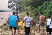 ၵူၼ်းမိူင်းတႆး ၸူမ်ၼမ်ႉတၢႆ ၽွင်းသွၼ်းၼမ်ႉၼႆႉ ဢမ်ႇယွမ်း 6 ၵေႃႉ ၵူၼ်းၸူမ်ၼမ်ႉတၢႆ