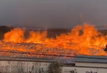 ၾႆးမႆႈ ၵွင်မႆႉသၵ်း