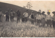 ၼုမ်ႇသိုၵ်းႁၢၼ်သၢင်ႈပိုၼ်း ၵၢၼ်လုၵ်ႉၶုၵ်ႉၽိုၼ်ႉ