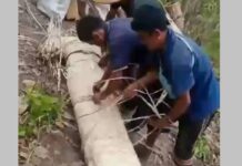 ၵူၼ်းလဵင်ႉၵႂၢႆးၼႂ်းၸႄႈဝဵင်းမိူင်းၵိုင် ၺႃးယိုဝ်းတၢႆ SSPP ဝႃႈပဵၼ်ၶဝ်ယိုဝ်း