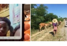 ၸၢႆးဢွၼ်ႇလဵင်ႉဝူဝ်း 2 ၵေႃႉဢၼ်ႁၢႆတီႈလႃႈသဵဝ်ႈ ႁၼ်ၶိုၼ်းၵေႃႉၼိုင်ႈ