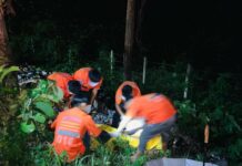 ၵႃးၽႃႇၺႃးၵူၼ်းၵိၼ်ၼွၼ်းၶၢင်ႈတၢင်း 3 ၵေႃႉတီႈတႃႈၶီႈလဵၵ်း တၢႆ 2 မၢတ်ႇၸဵပ်း 1