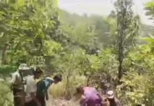 ၵူၼ်းမွၵ်ႇမႆႇ ၵေႃႉၼိုင်ႈ ယဵပ်ႇၺႃးမၢၵ်ႇမႅင်း တၢႆထင်တီႈ ထူပ်းႁၼ် တူဝ်တၢႆ ၶုၼ်ႇမွင်ႇတၢၼ်း