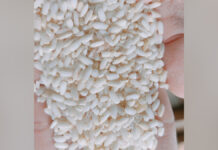 လိူၼ်ထူၼ်ႈပႅတ်ႇၼႆႉ ၼႂ်းမိူင်းတႆး ၶၼ်ၶူဝ်းၵုၼ်ႇ ၶွင်ၵိၼ်ယမ်ႉပုင်ႈၶိုၼ်ႈသုင် ၶဝ်ႈသၢၼ်