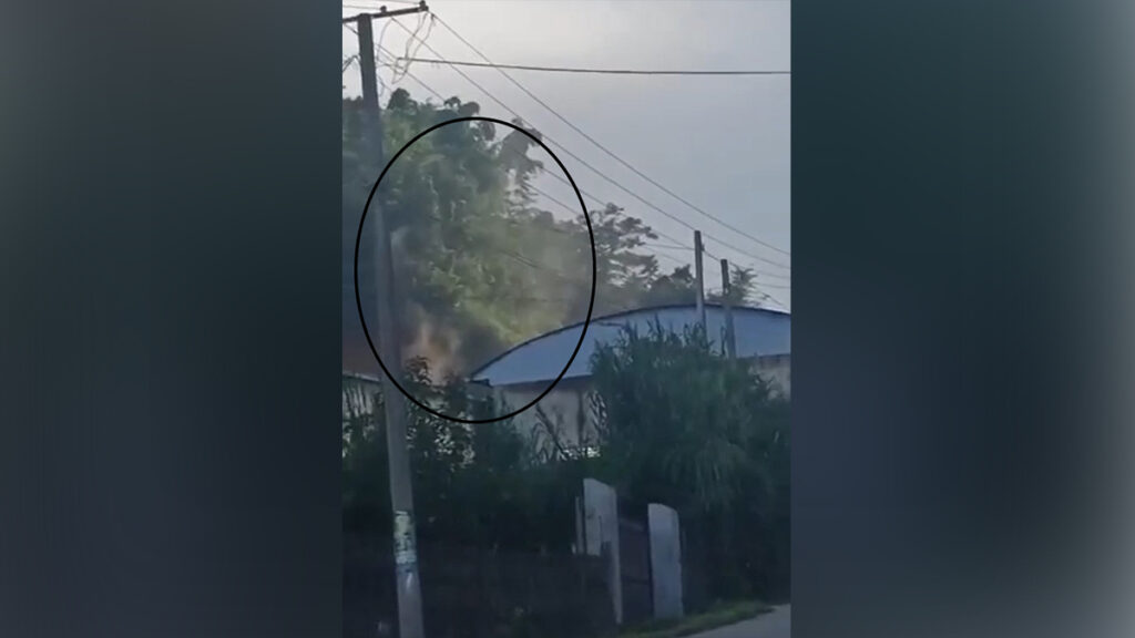 မၢၵ်ႇလူင် တူၵ်းသႂ်ႇၼႂ်းမူႇဝၢၼ်ႈ