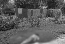 ၸူၼ်ၶဝ်ႈႁိူၼ်းၵူၼ်းဝၢၼ်ႈတီႈၼႃးၵွင်းမူး ယိုဝ်းၸဝ်ႈႁိူၼ်းလႄႈၵူၼ်းၶၢင်ႈႁိူၼ်းတၢႆ 3 ၵေႃႉ