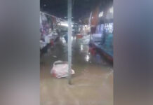 ၼမ်ႉထူမ်ႈၵၢတ်ႇလၢႆးၶႃႈ