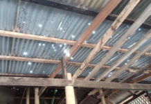 ၸၢၵ်ႇမၢၵ်ႇလူင် သိုၵ်းမၢၼ်ႈ တူၵ်းသႂ်ႇ