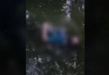 တႆးႁွတ်ႈမိူင်းထႆး ၸူမ်ၼမ်ႉတၢႆ ၵေႃႉၼိုင်ႈ တီႈဝဵင်းလူင်မိူင်းၵွၵ်ႇ ၸၢႆးၼၼ်ႇတႃႇ