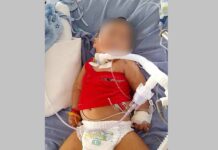 လုၵ်ႈဢွၼ်ႇတႆး ၵိူတ်ႇပႃးၶိူင်ႈဢႅင်ႇၵႃႇၸၢႆးယိင်းလေႃးၵၼ်၊ တၢင်းပဵၼ်မီးၼမ် ယၢပ်ႇၽိုတ်ႇတႃႇယူတ်းယႃ