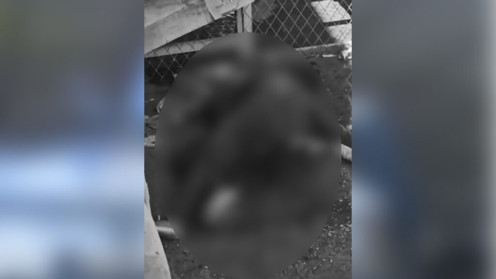 မၢၵ်ႇလူင် တူၵ်းသႂ်ႇ ၵူၼ်းပၢင်ႇသၢႆး လူႉတၢႆ 