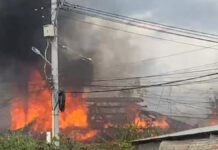 ၾႆးမႆႈႁိူၼ်းပႃႈလိုၼ်း