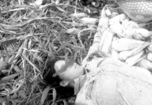 သိုၵ်းမၢၼ်ႈလႃႈသဵဝ်ႈ- ၼမ်ႉပွင်ႈယိုဝ်းမၢၵ်ႇလူင် တိူဝ်ႉၼၢင်းယိင်း ၼႂ်းသူၼ်ၶဝ်ႈၵၢပ်ႇ တၢႆထင်တီႈ