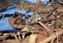 ႁိူၼ်းယေး ၵူၼ်းမိူင်းလူႉၵွႆ