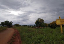 သိုၵ်း PNLA ယိုတ်းလႆႈ တပ်ႉပၢင်သဝ်းသိုၵ်းမၢၼ်ႈ 4 တီႈ တၢင်းၶဝ်ႈဝၢၼ်ႈၼွင်ထဝ်