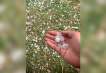 ၾူၼ်မၢၵ်ႇႁဵပ်းတူၵ်း တီႈဝဵင်းၼမ်ႉၶမ်း