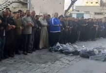 လုၵ်ႈၸၢႆး ၸုမ်းသိုၵ်းႁႃႊမတ်ႉသ်