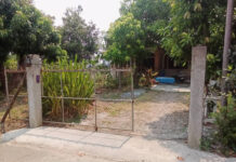 ၽူဝ်တႅင်းမေးတၢႆယဝ်ႉ ၺွပ်းလုၵ်ႈၸဝ်ႈၵဝ်ႇ ၽႅၼ်ၶေႃးတၢႆၽွမ်ႉၵၼ် တီႈဝဵင်းၵဵင်းမႂ်ႇ ႁႅင်းၵၢၼ်တႆး သၢမ်ပေႃႈမႄႈလုၵ်ႈ ၶႃႈတူဝ်တၢႆ