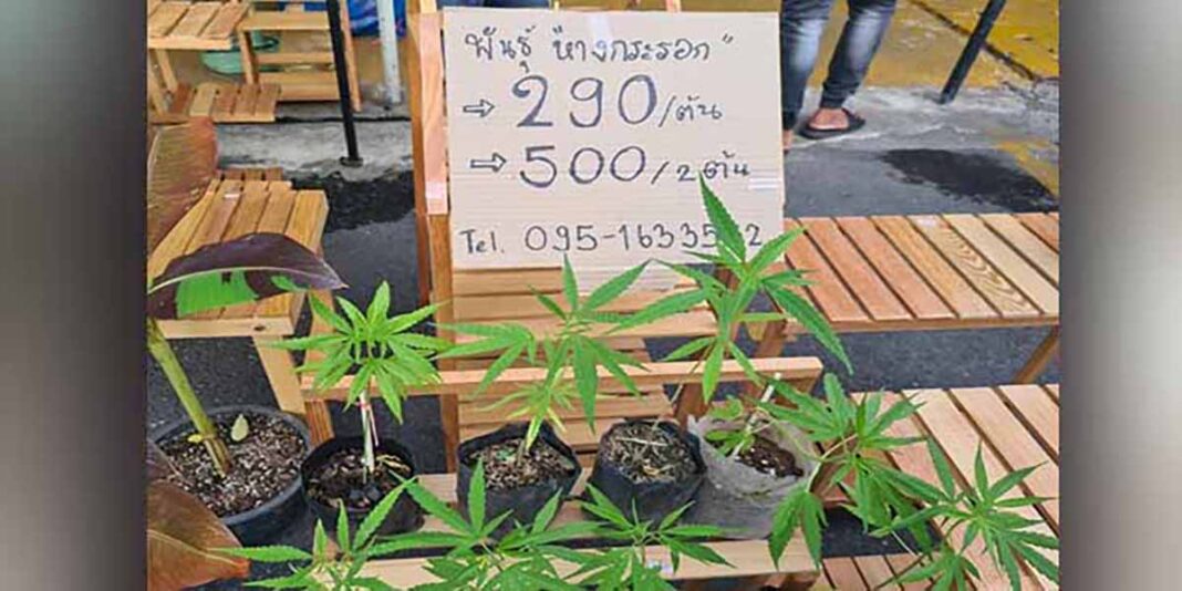 ယႃႈပၢင်း