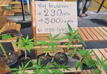 ယႃႈပၢင်း