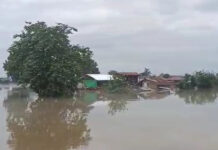 ၼမ်ႉၵဵဝ် ၼွင်းထူမ်ႈ ႁိူၼ်းယေးၵူၼ်းမိူင်းၸေႈၼႃး ဢမ်ႇယွမ်းပၢၵ်ႇ ၼမ်ႉၵဵဝ်ထူမ်ႈ