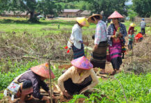 ၵူၼ်းမိူင်းၼၢႆး ၽုၵ်ႇတူၼ်ႈမႆႉ