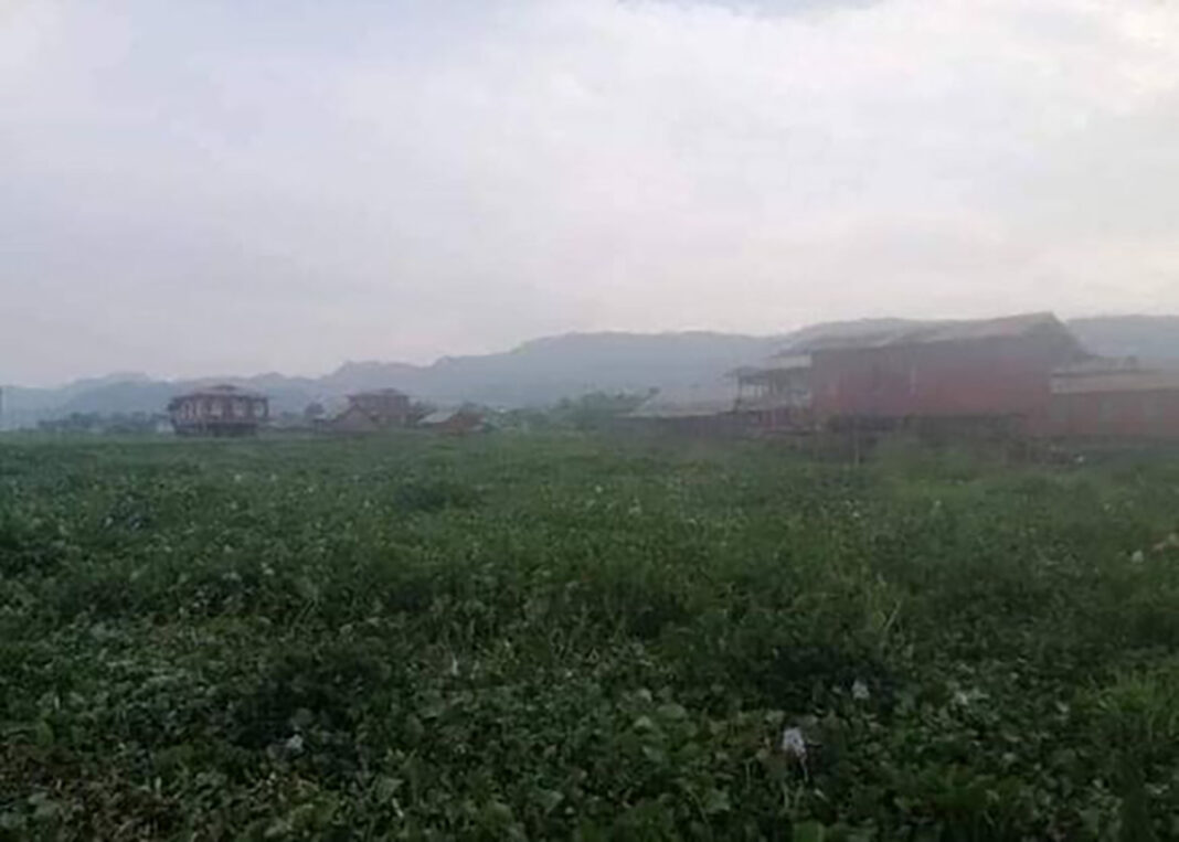 မွၵ်ႇၽၵ်းတူပ်း မွၵ်ႇၽၵ်းတူပ်း