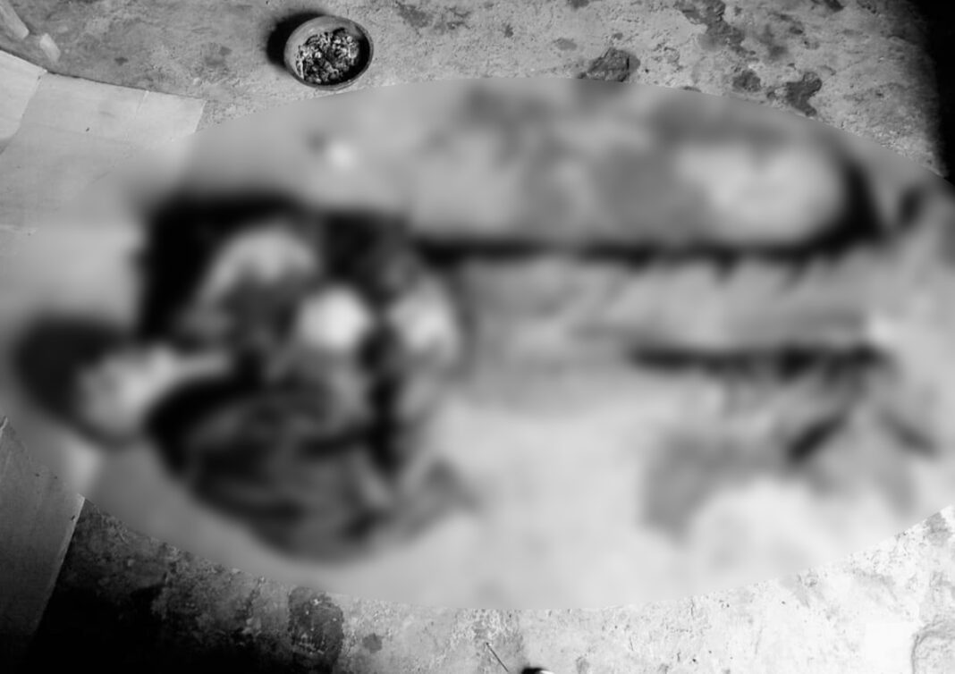 မၢၵ်ႇလူင် တူၵ်းသႂ်ႇ ၵူၼ်းလႃႈသဵဝ်ႈ လူႉတၢႆ