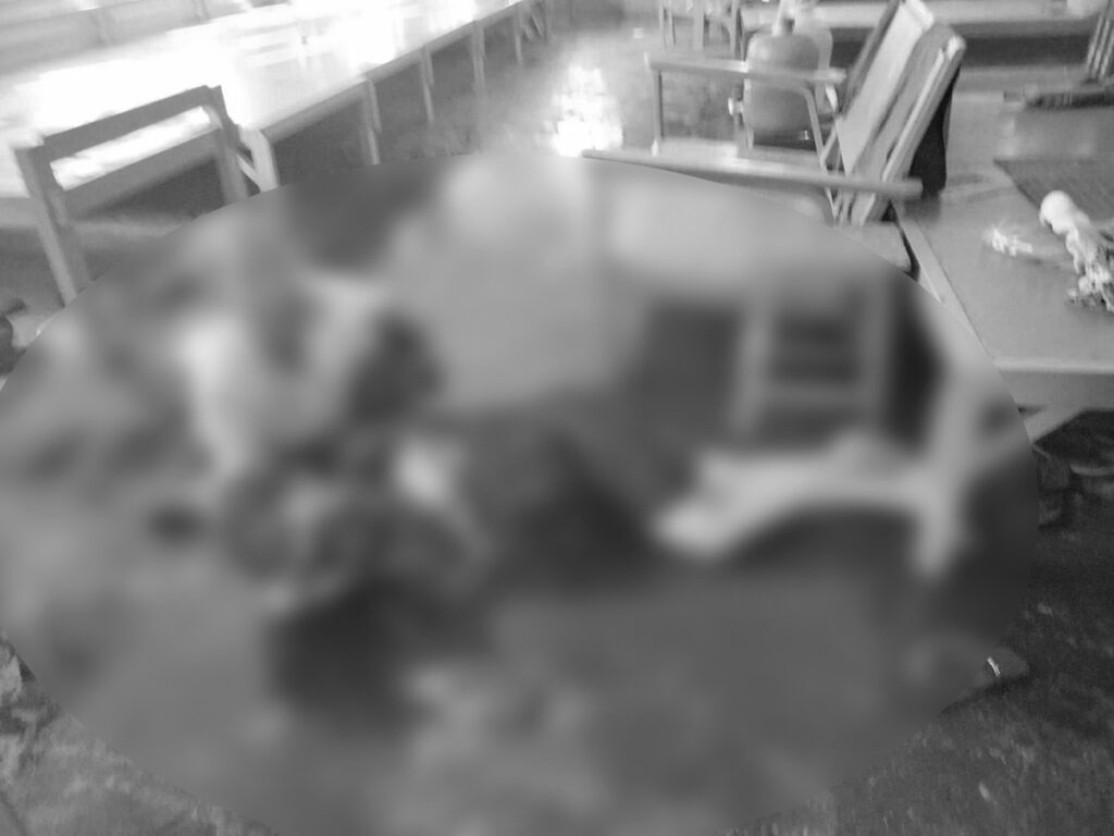 မၢၵ်ႇလူင်တူၵ်းသႂ်ႇ ၵူၼ်းလႃႈသဵဝ်ႈ