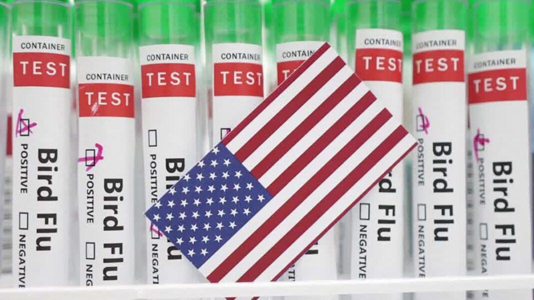 Avian flu case confirmed in Colorado dairy worker Avian flu case confirmed in Colorado dairy worker