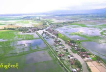 မေႃသွၼ်ၼႂ်းထုင်ႉပူင်း ဢမ်ႇၵုမ်ႇထူၼ်ႈ ၵူၼ်းဝၢၼ်ႈလႆႈႁႃၸၢင်ႈမေႃသွၼ်မႃးႁင်းၶေႃ ထုင်ႉပူင်း