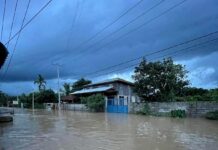 ၾူၼ်တူၵ်းထပ်းၵၼ် ၼမ်ႉထူမ်ႈ တူင်ႈၼႃးလႄႈႁိူၼ်းယေးၵူၼ်းမိူင်းၼႂ်းၸိုင်ႈတႆးပွတ်းၸၢၼ်း