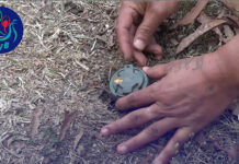 ၼႂ်းၶၢဝ်းတၢင်း 6 လိူၼ် ၵူၼ်းမိူင်းႁူမ်ႈတုမ် မၢတ်ႇၸဵပ်းလူႉတၢႆ လူၺ်ႈမၢၵ်ႇမႅင်း မွၵ်ႈ 700 ၵေႃႉ မၢၵ်ႇမႅင်းၾင်လိၼ်