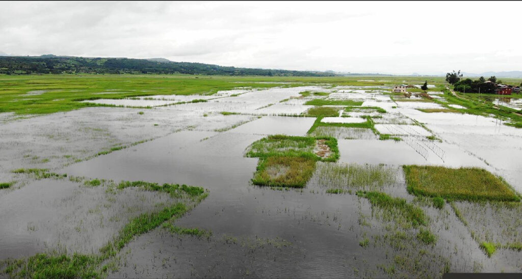 ၼမ်ႉထူမ်ႈၼႃး ထုင်ႉပုင်း