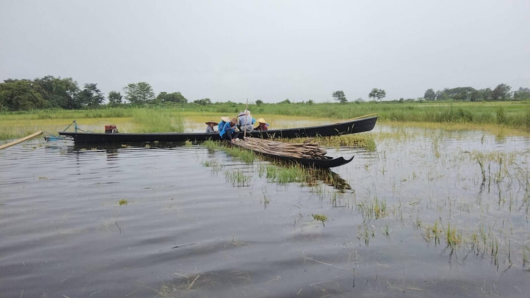 ၼမ်ႉထူမ်ႈၼႃး ထုင်ႉပုင်း